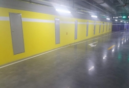 鋼質草莓视频在线观看免费视频